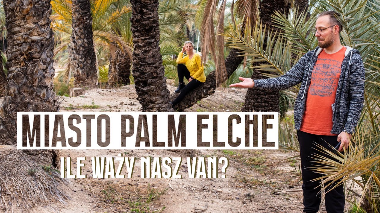 Miasto palm Elche. Ile waży nasz van?  | VANLIFE Hiszpania