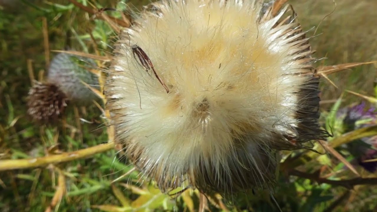 Séjour en Lozère - Septembre 2025