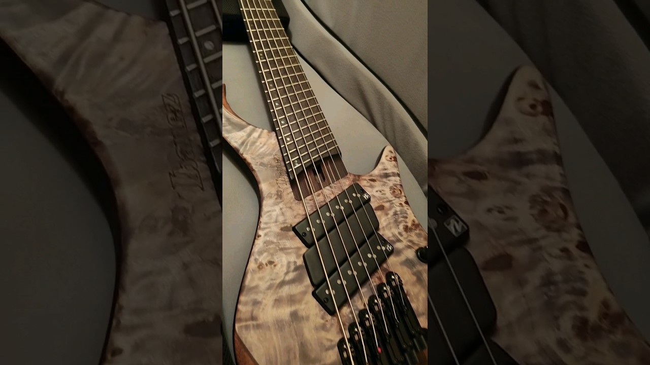 My New Bass | Ibanez EHB 1506 BIF #ibanez #ibanezbass