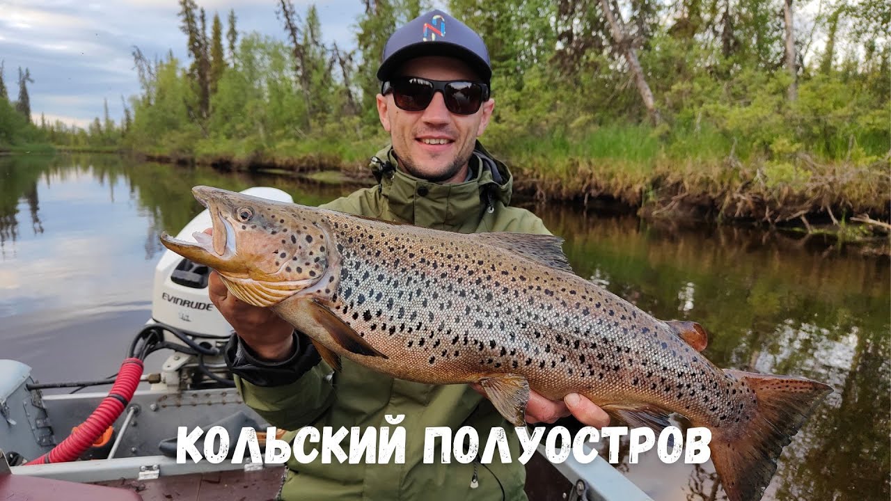 Кольский! Трофейная кумжа! Много хариуса! Отправляемся на море!
