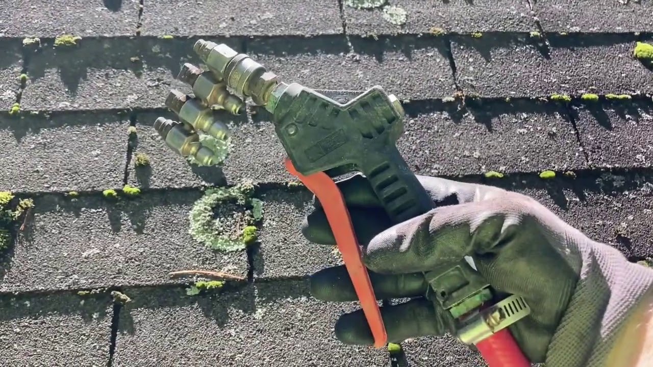 Big Job = Roof washing, gutter cleaning, soft washing, surprise find.