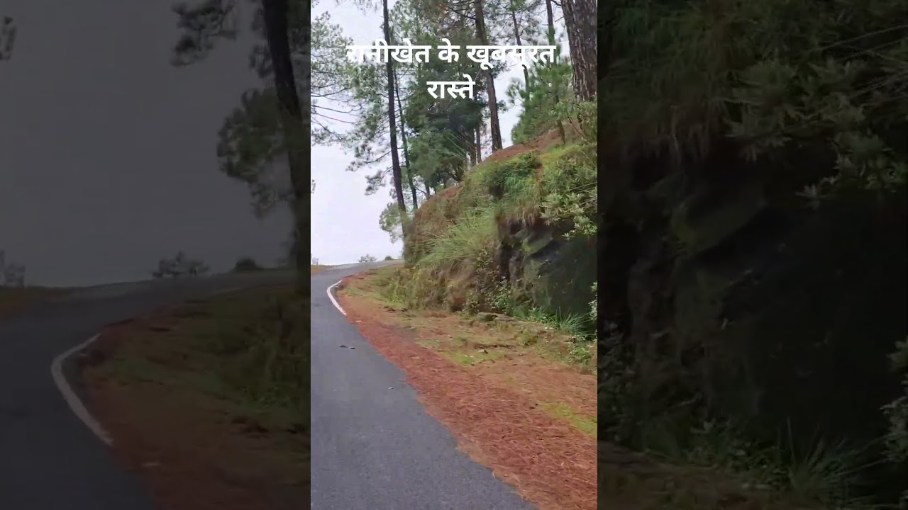 रानीखेत के खूबसूरत रास्ते | Ranikhet Beautiful Road | #ranikhet #uttarakhand #travel #nainital #tour