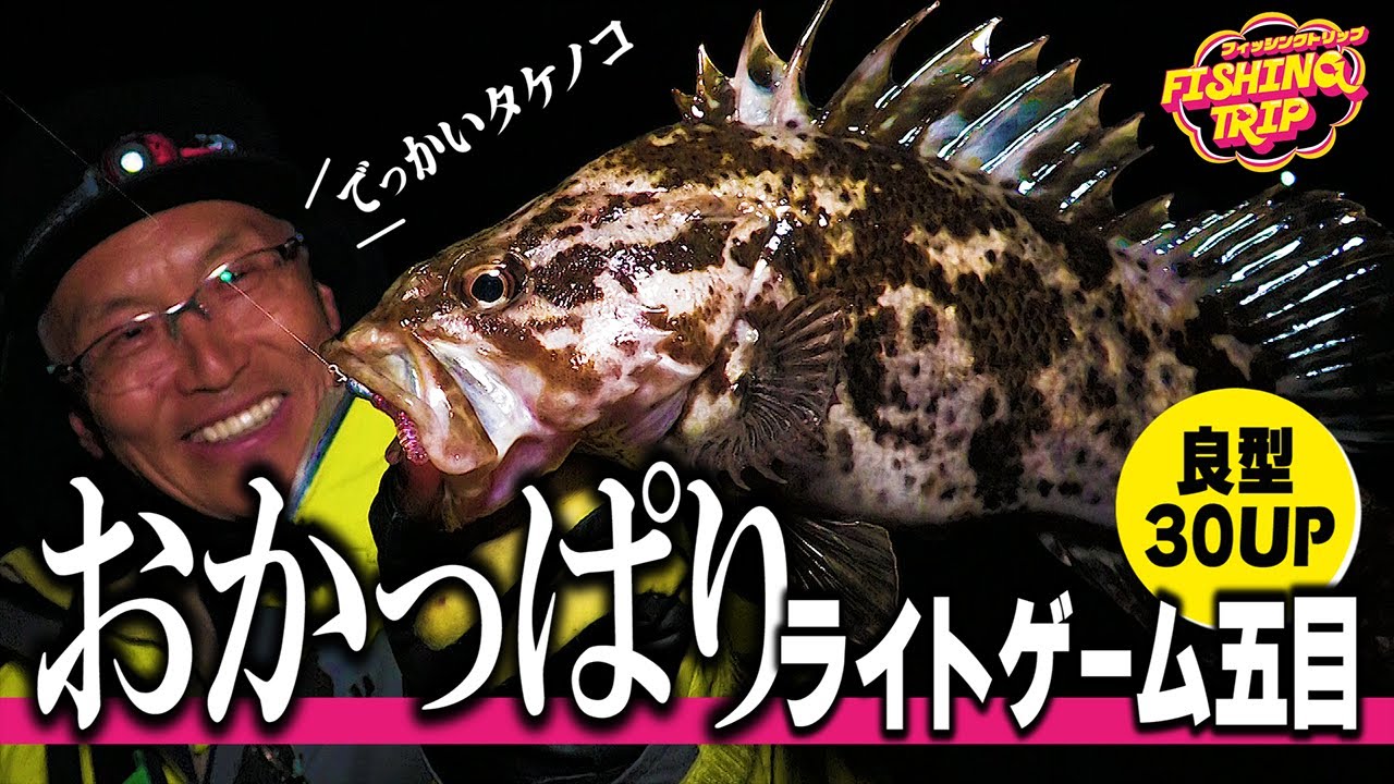 良型タケノコゲット‼おかっぱりライトゲーム五目in周坊大島【フィッシングトリップ】