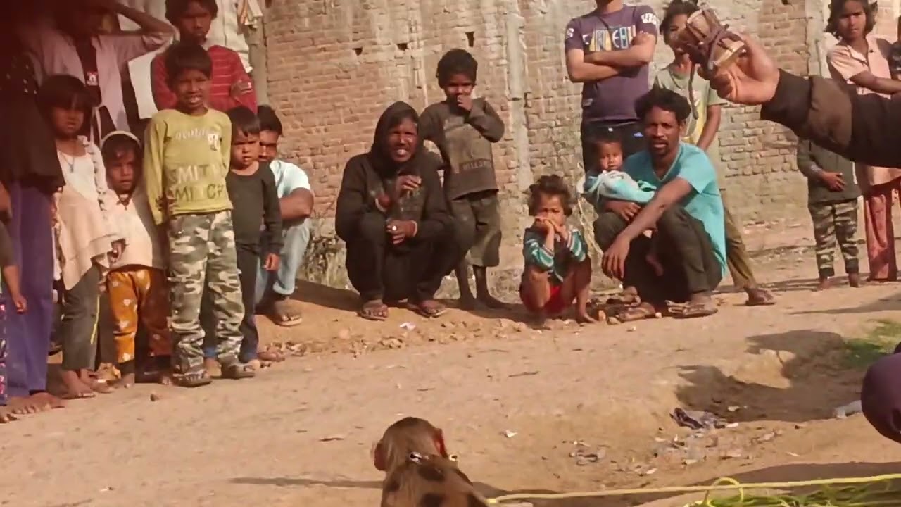 10 फ़रवरी 2026