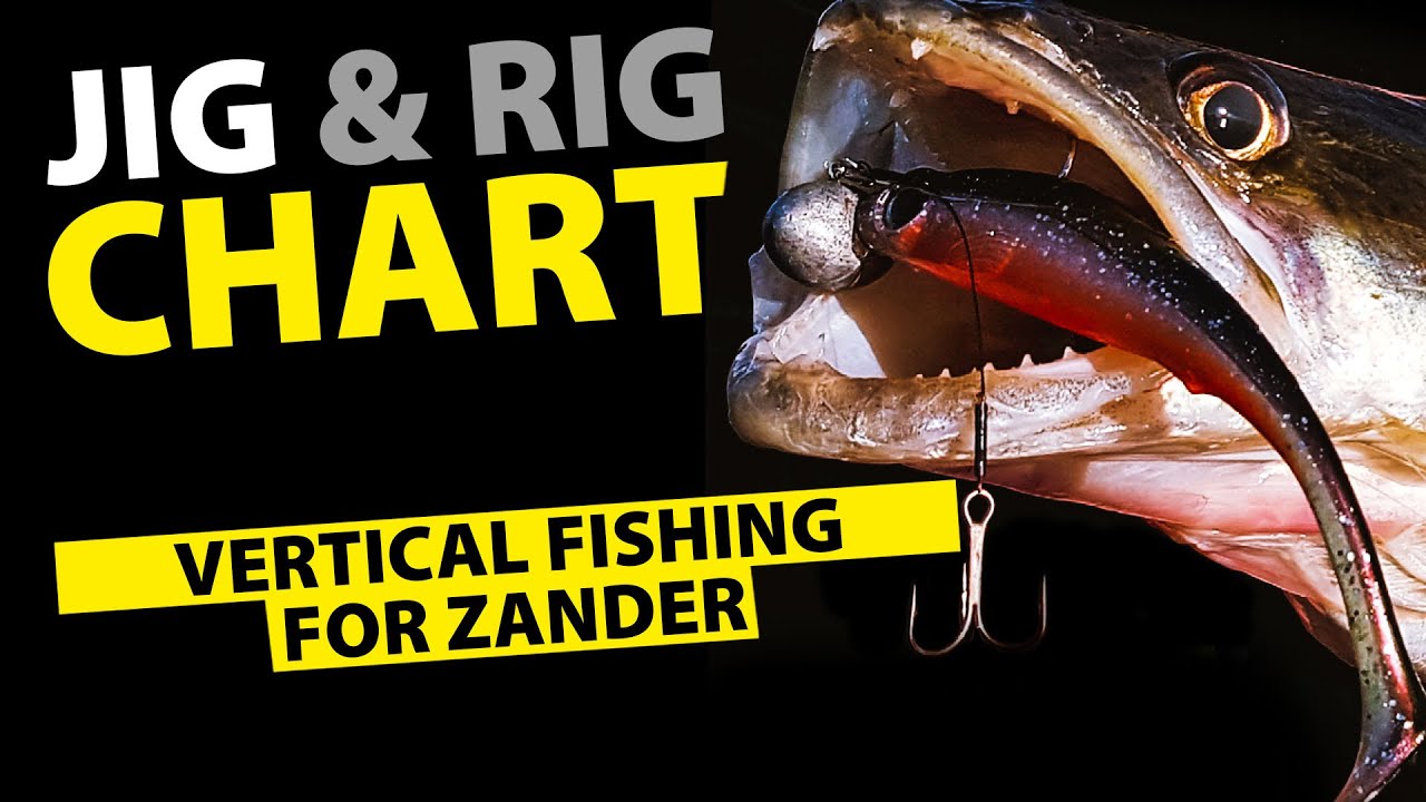 SPRO - Riggin' It - Vertical Fishing For Zander