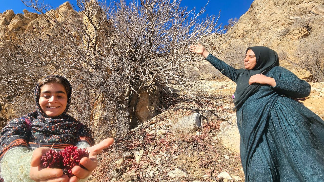 🍎🌿 Searching for Wild Fruits in the Zagros Mountains | Nomadic Mother & Daughter