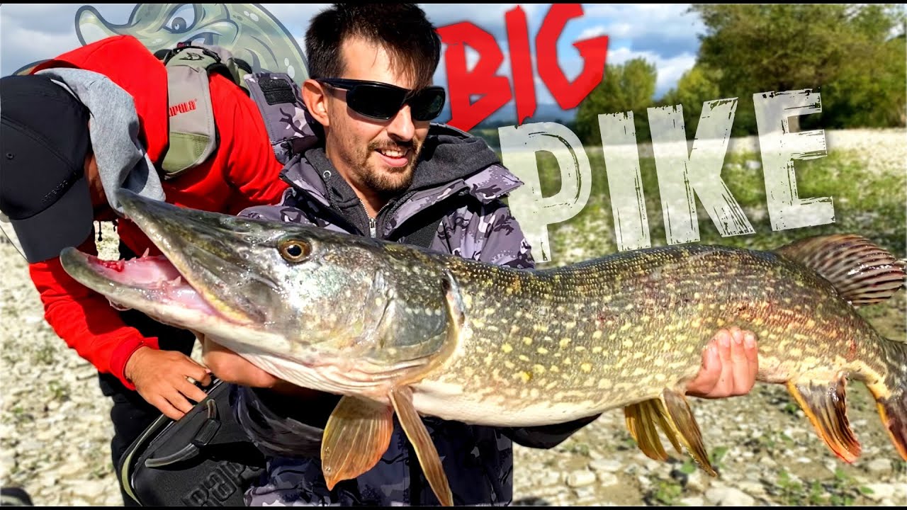 LUCCI DA METRO in acqua bassa e Fails Epici al Lago di Bilancino con il TEAM! - Pesca al Luccio
