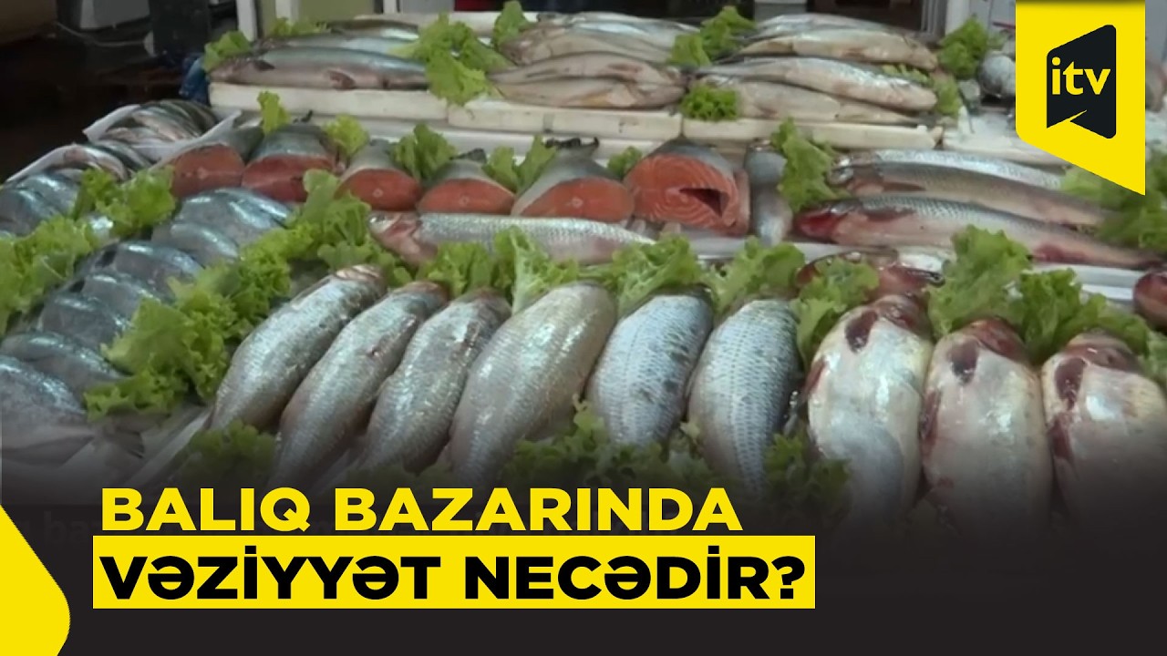 Balıq bazarında qiymətlərdə artım var?
