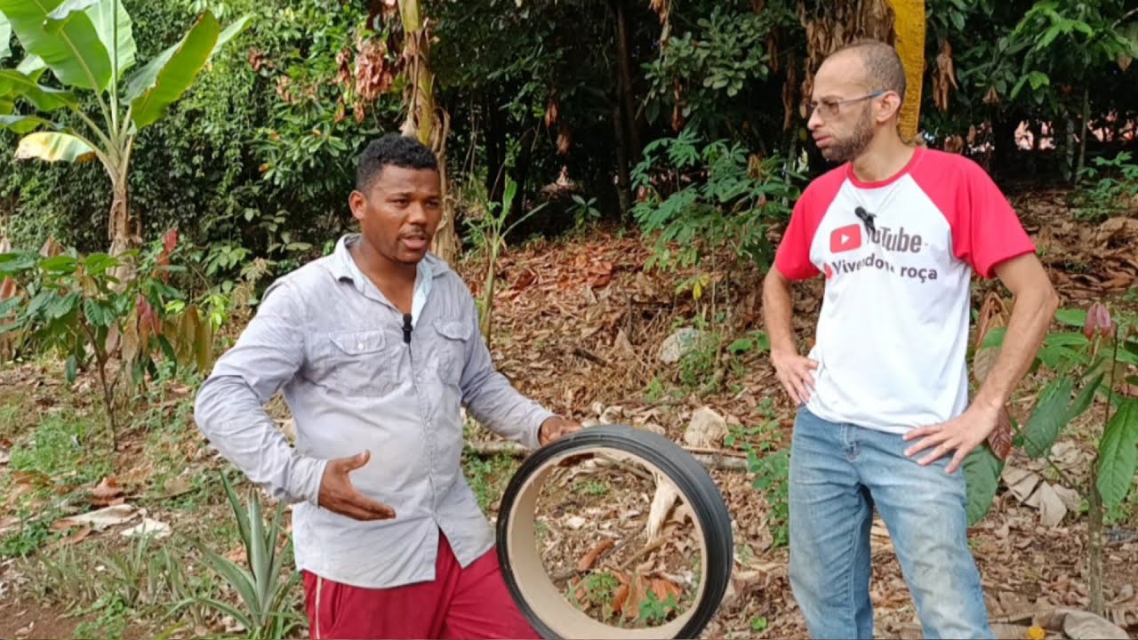 🛑 COMO ESCORAR BANANEIRA COM FITA (banana da terra)