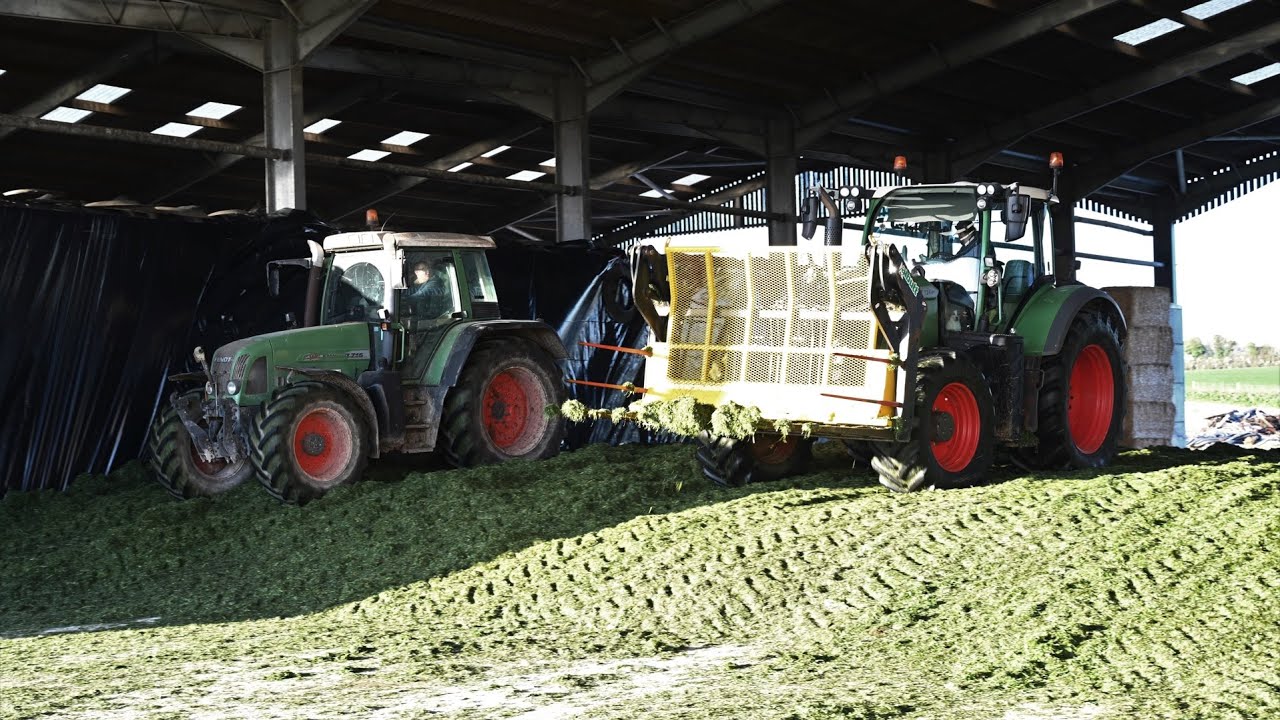 Silage 2023 - Buckraking on the Clamp with Fendt 724 & Fendt Favorit rolling