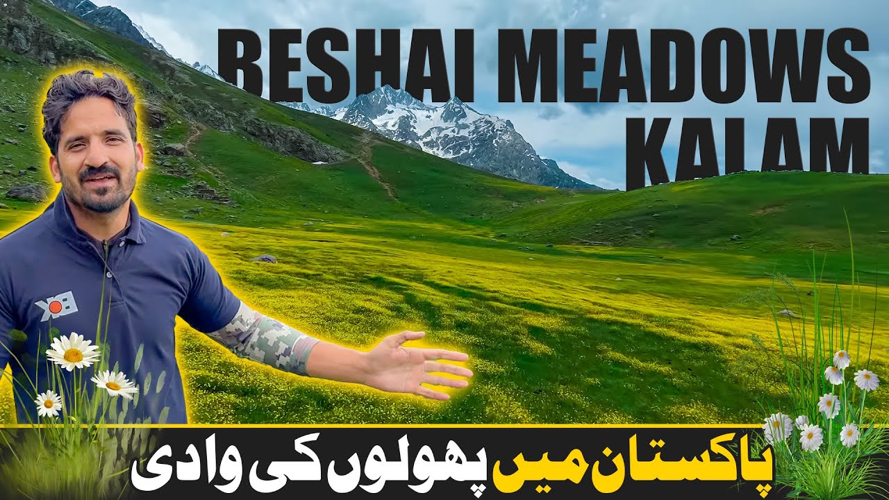 The Valley of Flowers in Pakistan Beshai Meadows Kalam