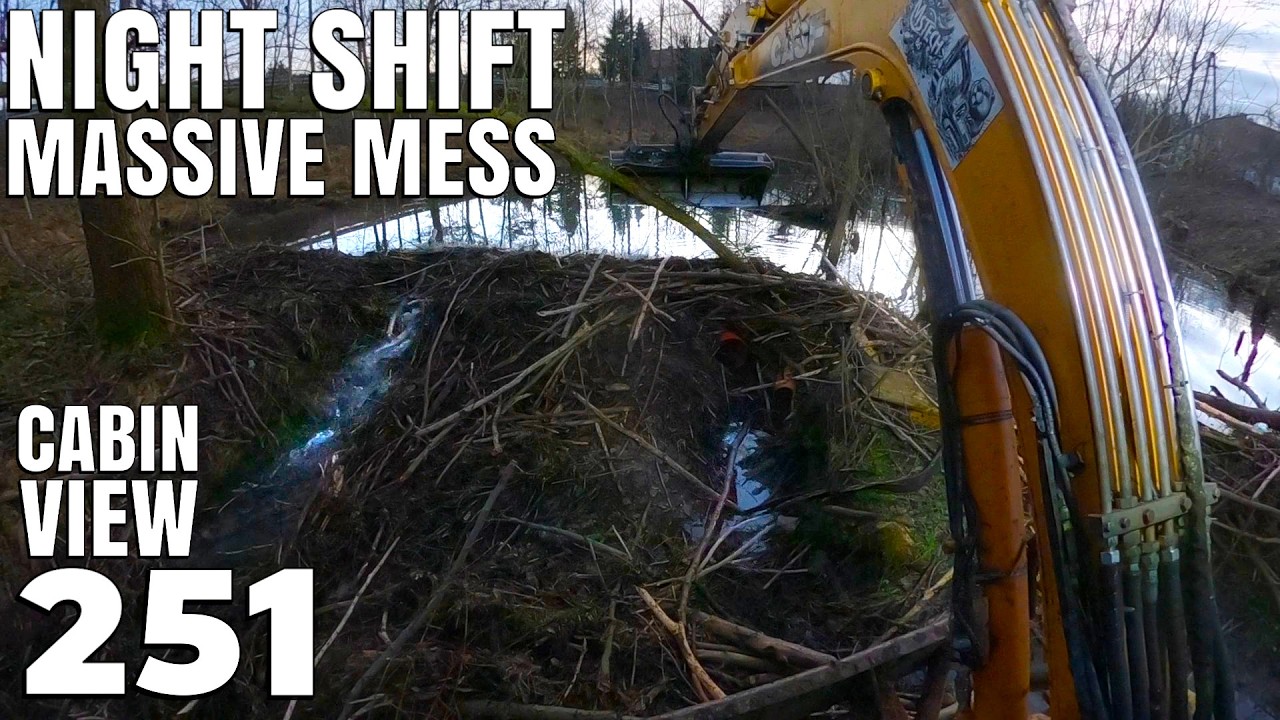 Finishing In The DARK! Cleaning Up This Massive Beaver Dam Mess | Cabin View | No.251