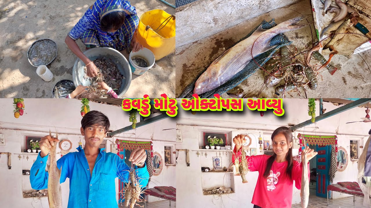કેતન ના જાળમાં શેળવું ટ્રીટમ કેટલું શાક આવ્યું🐠🐟