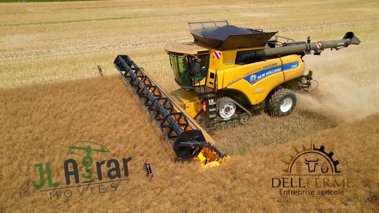 Moisson 2022: une CR 9.90 récolte le colza dans les plaines ardennaises.