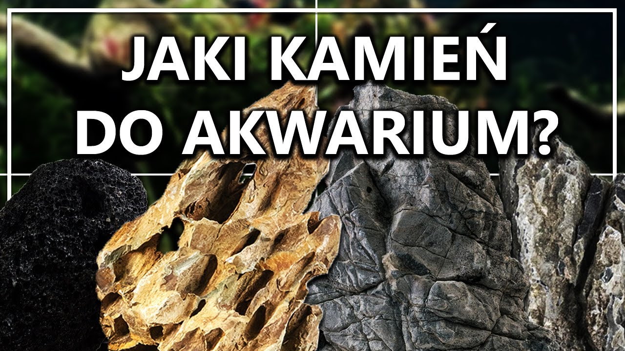 JAKI KAMIEŃ DO AKWARIUM?