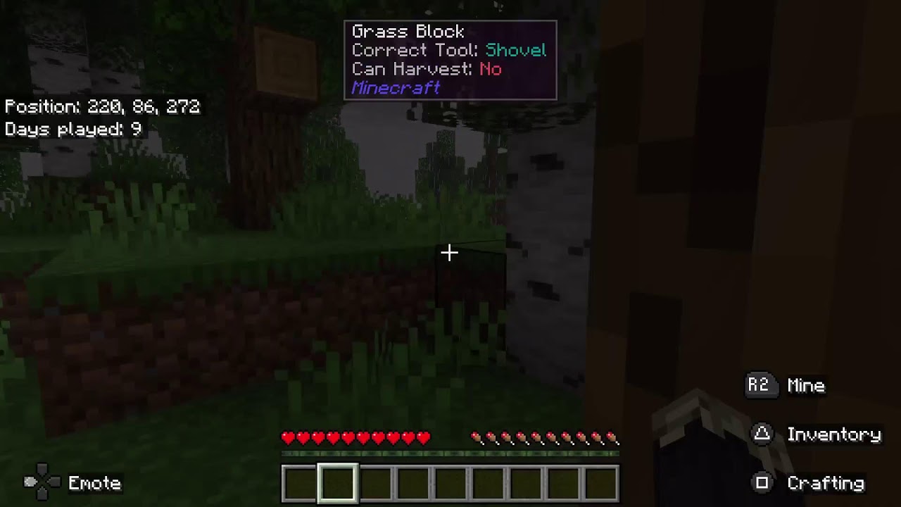 Minecraft come say hi