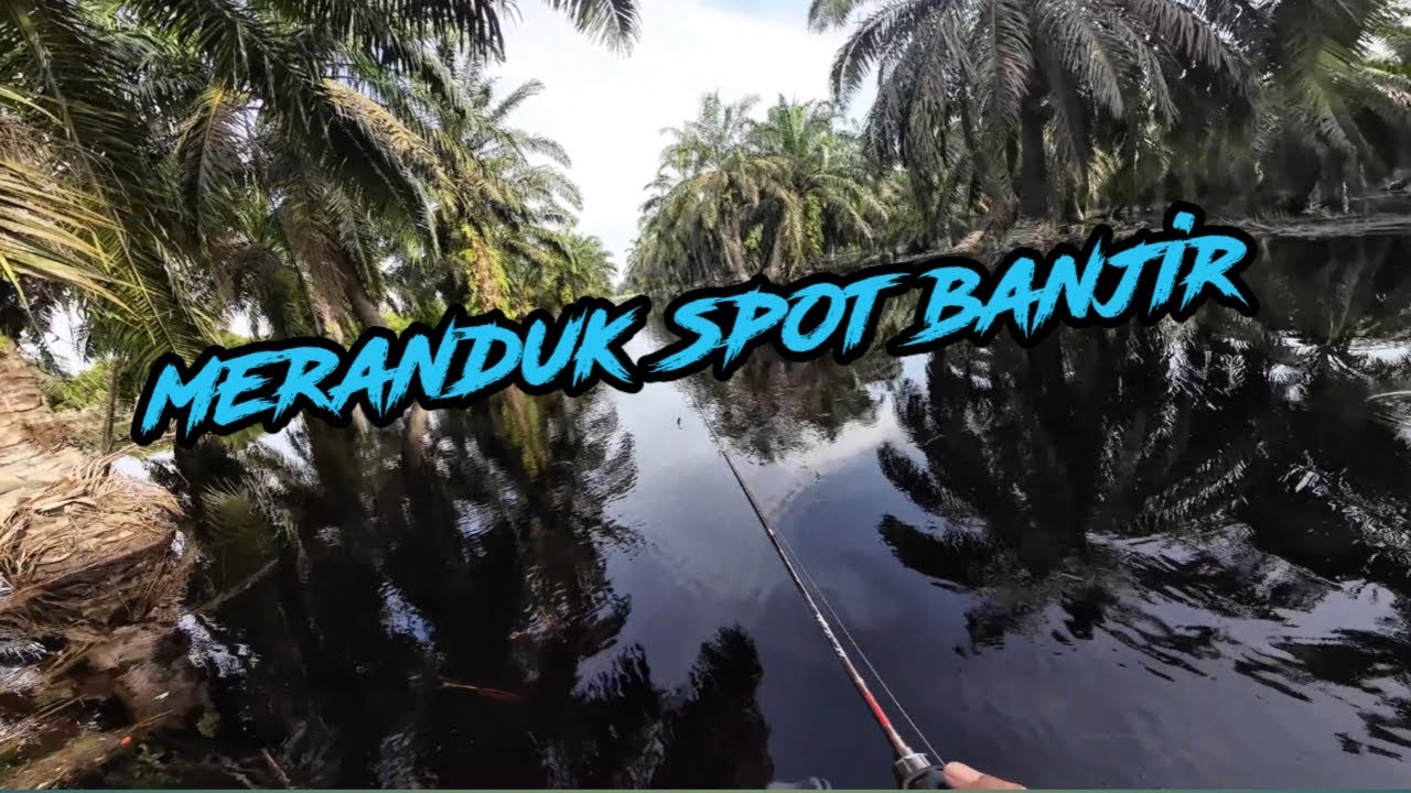 Mencari striker haruan spot banjir | EP 043 #fishing #angler #snakehead #kingdonfishing #casting