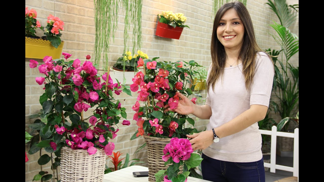 Begonvil (Bougainvillea) Yetiştirmenin Püf Noktaları! How to care Bougainvillea? (ENGLISH CC)