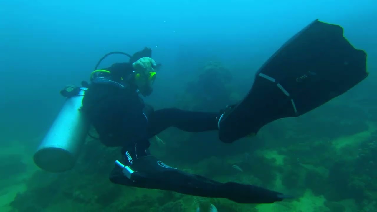 Diving, Krabi, Phi Phi Island (Octopus)