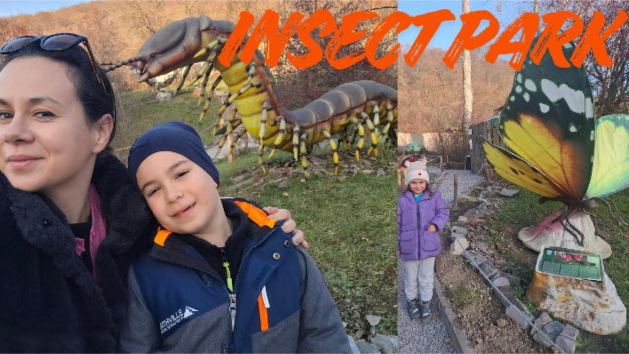 Впечатления от ПАРК НАСЕКОМЫХ — Одорхею Секлер 🇷🇴| Мы нашли гигантских насекомых в самом сердце Х...