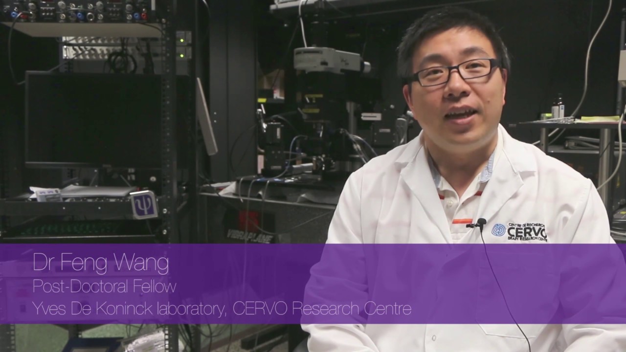 Scientifica Meets Dr Feng Wang