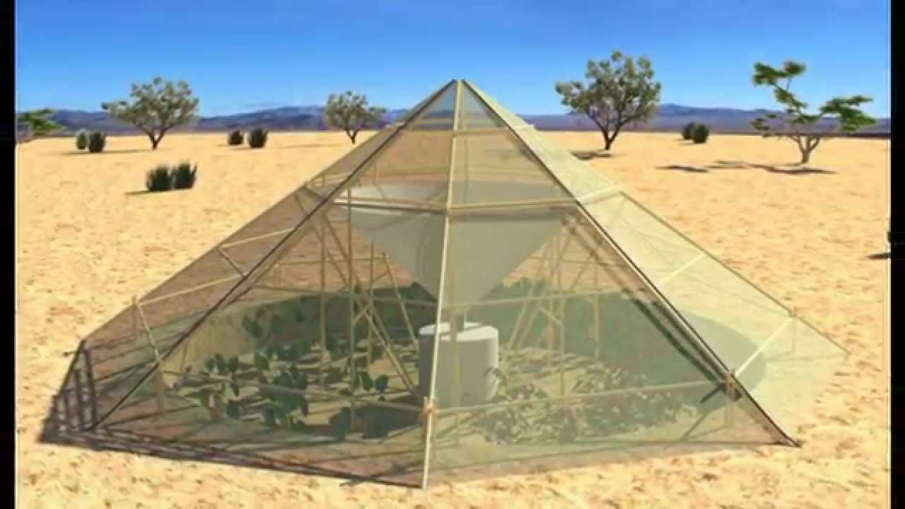 Dew-Collecting Greenhouse Grows Veggies in the Desert - 10-05-2015