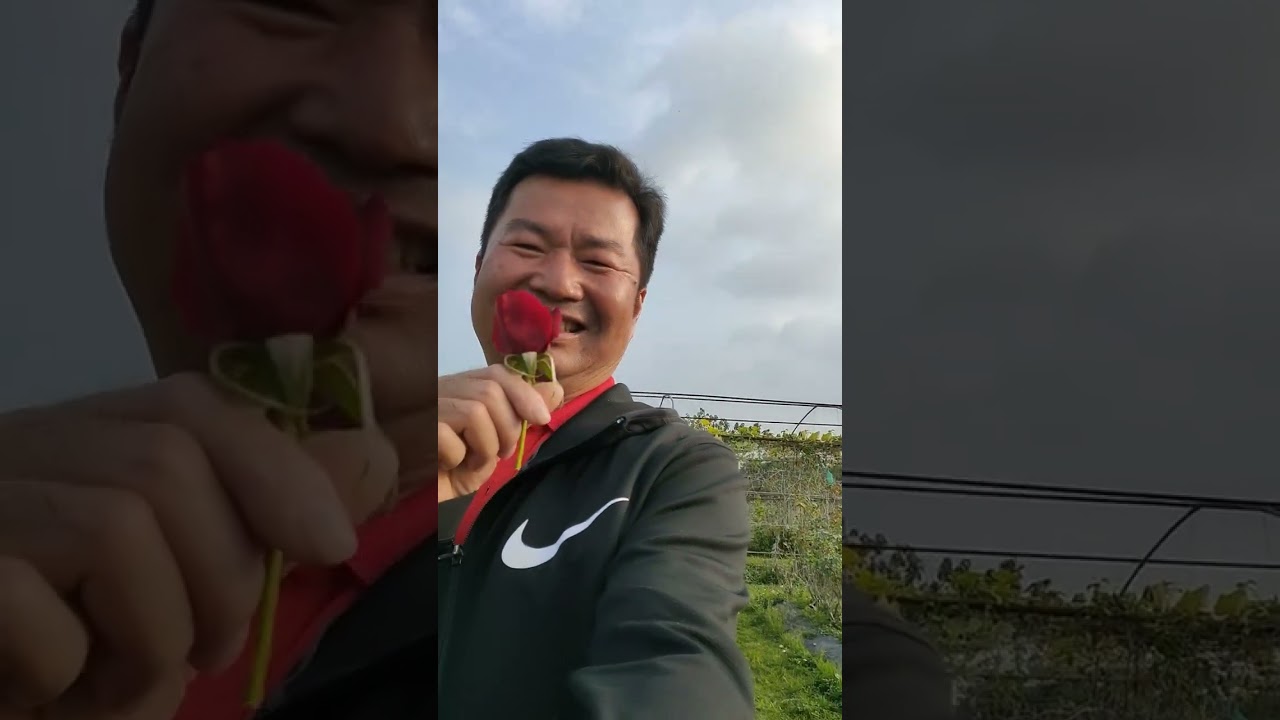 阿成日記