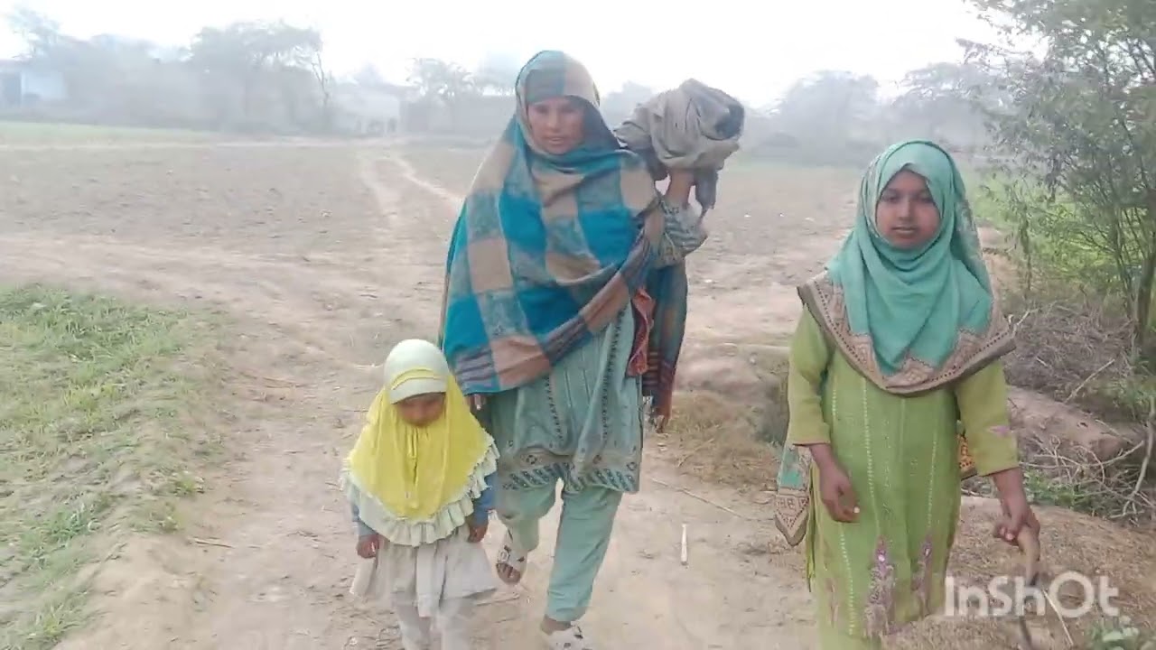 جانور واسطے پٹھے لینے کے لئے گئی چھوٹے بچوں اور کپڑے سارے دن دھوئے 03281827619