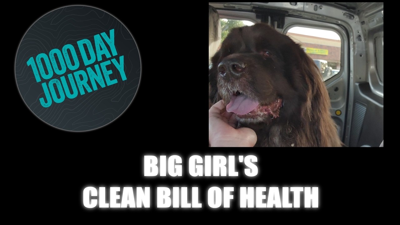 1000 Day Journey 0952 Big Girl's Clean Bill of Health