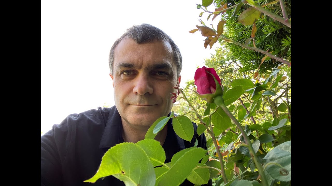 Andi Zeneli ka te drejte Helenet, Dalmatet flisnin Ilirisht