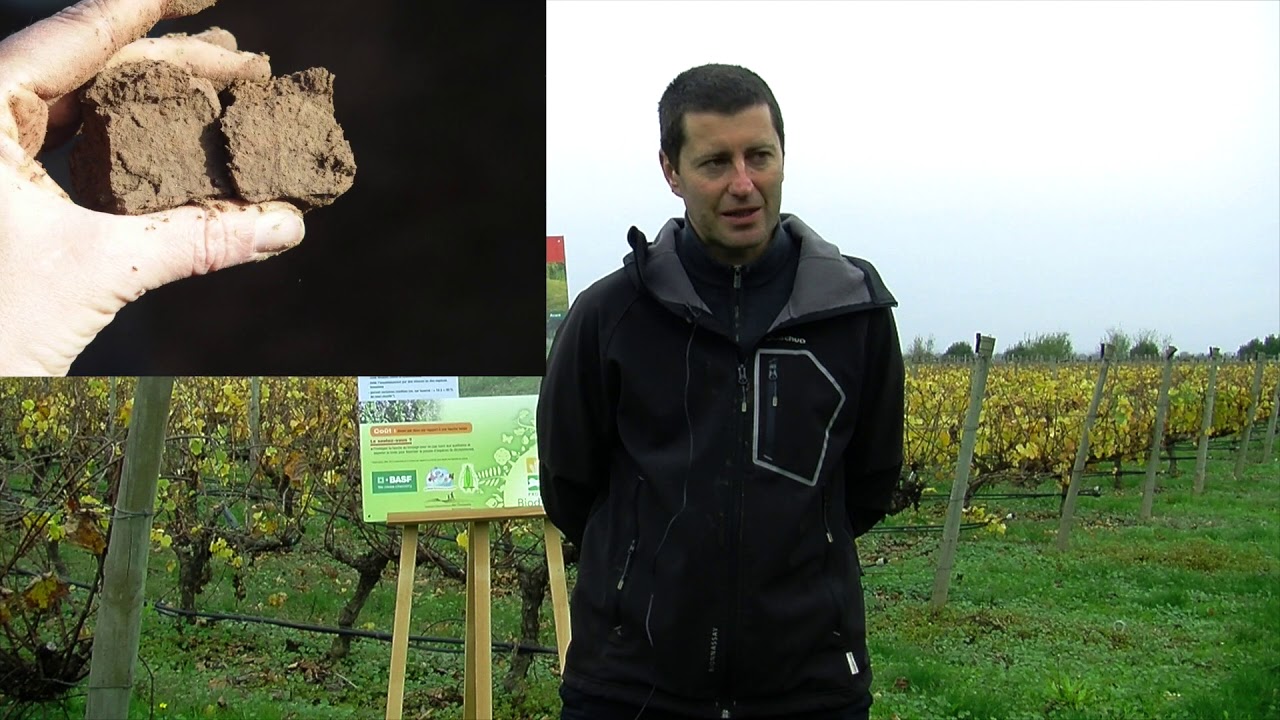 Le test bêche