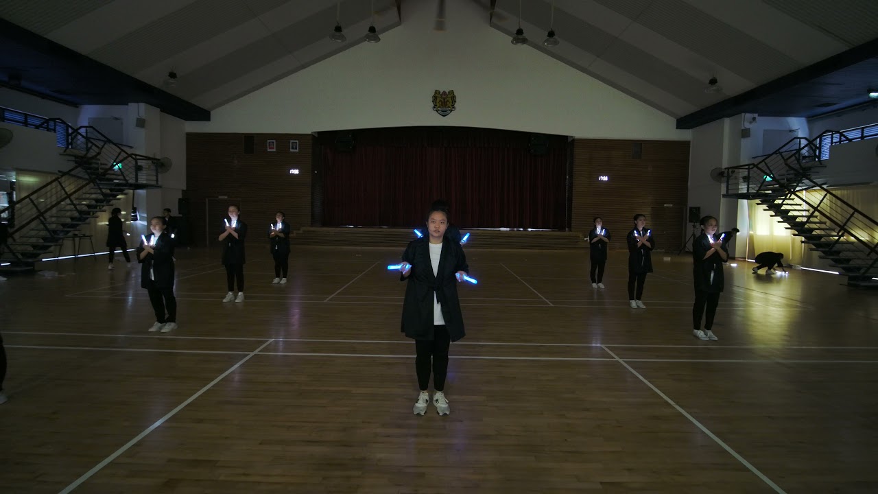 TMS Aesthetics Presentation - Temasek Freestylers - Hikari
