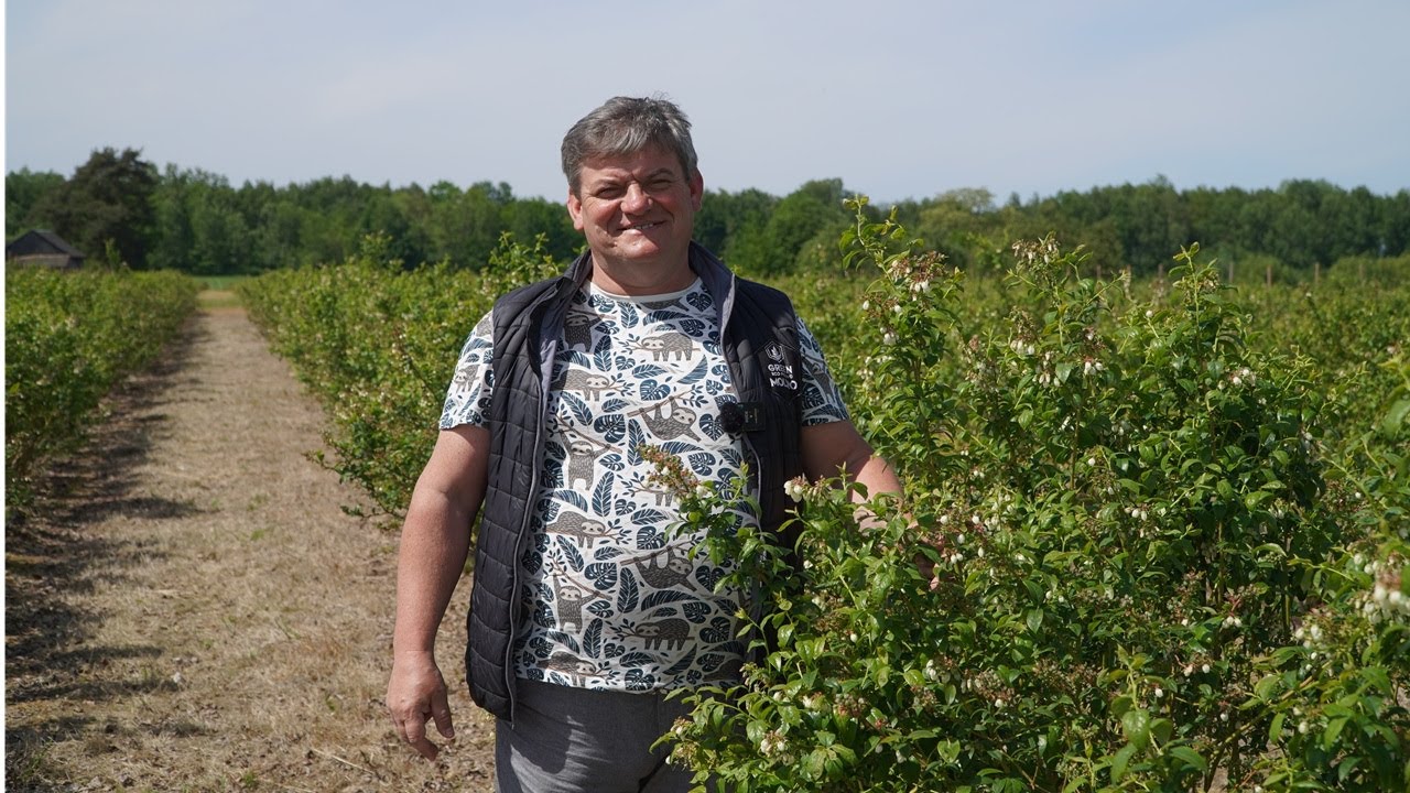 Komunikat dla borówki Zbigniew Marek 09.05.24