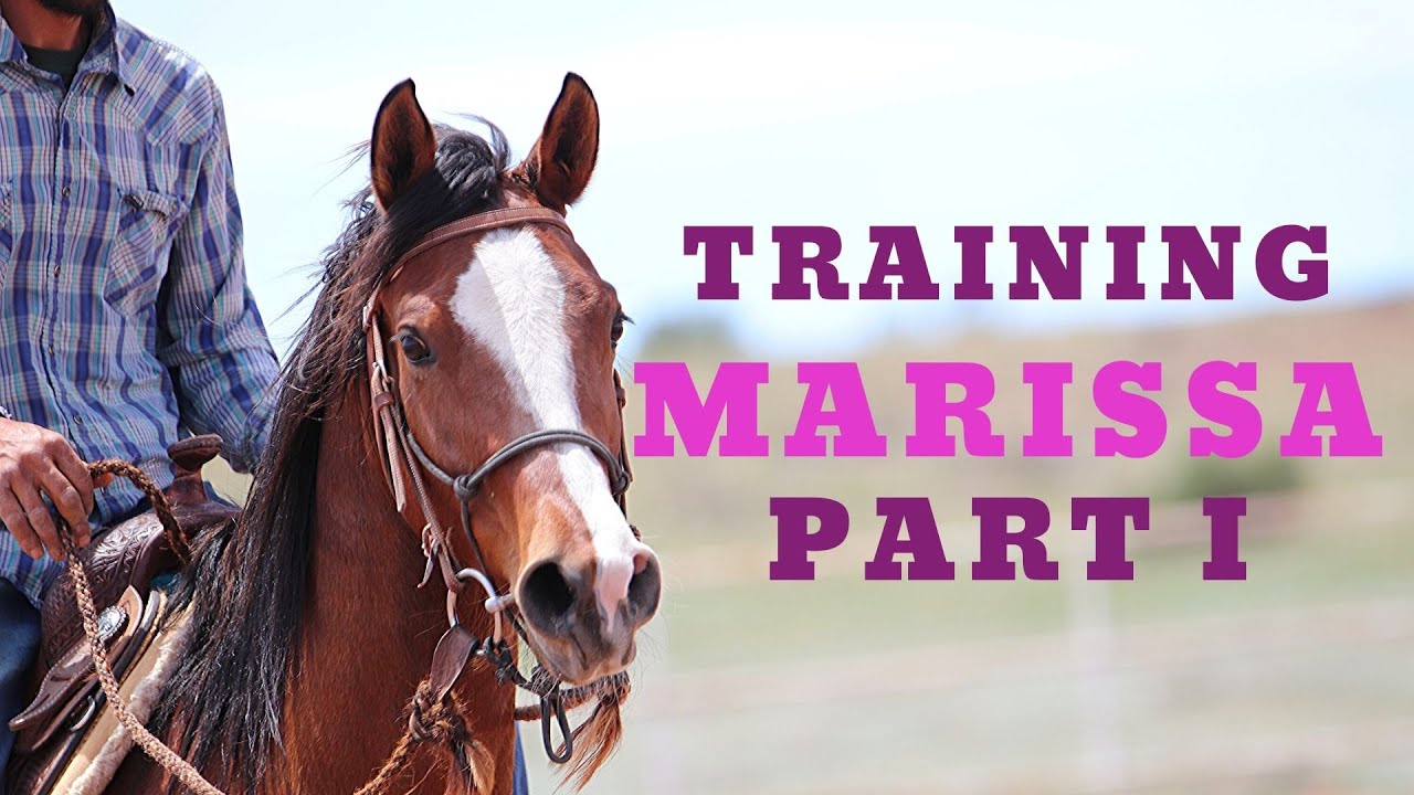 Marissa’s Intro - Quarab