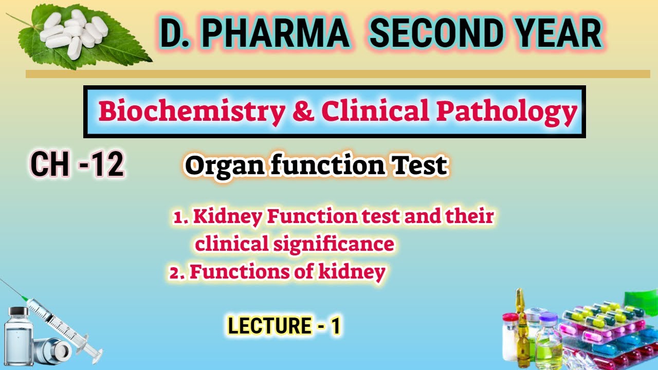 Kidney function test | L-1 | CH-12 | Biochemistry and Clinical pathology | D.Pharm second year