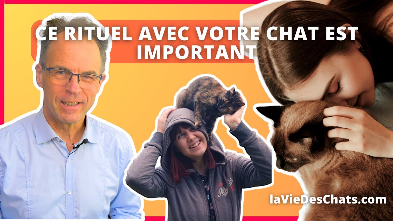 CE RITUEL AVEC VOTRE CHAT EST IMPORTANT