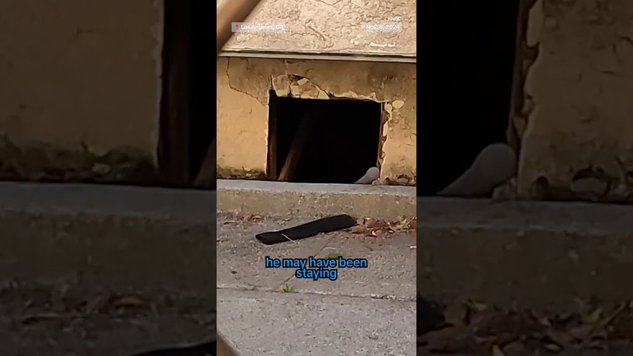 Police arrested a naked man who was living in the crawl space underneath a California home