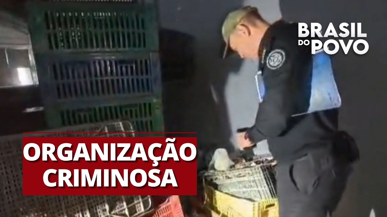 Grupo movimentou mais de R$ 400 milhões de reais com atividade criminosa