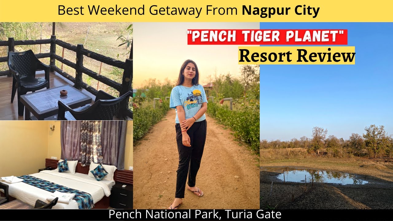 Pench Tiger Planet Resort | Best Resort in Pench National Park | Mrudul Gajbhiye
