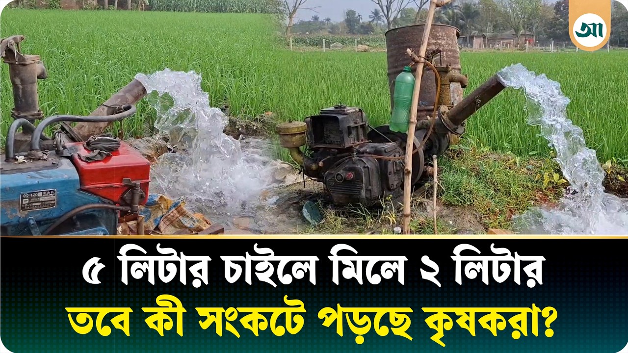 তেল সংকটে দুশ্চিন্তায় কৃষকরা, ফলনে ভাটা পড়ার শঙ্কা | Oil crisis | Ajker Patrika