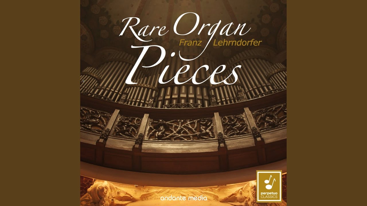 6 Organ Sonatas, Op. 65, No. 6 in D Minor: I. Chorale. Andante sostenuto. Allegro molto & II....