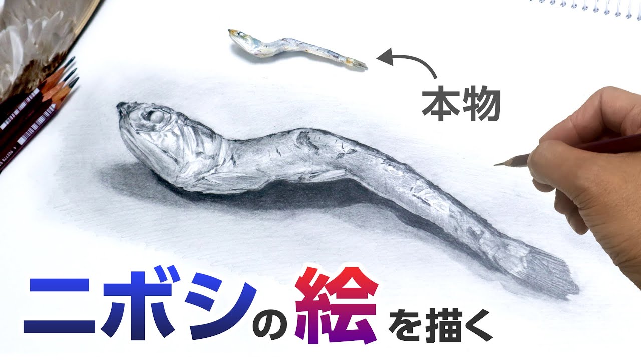 【鉛筆デッサン】煮干しを実際よりも大きく描く
