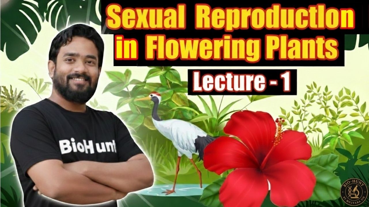 Sexual Reproduction in Flowering Plants | Lecture 1 | NEET 2026 Biology | Complete Concept Explained