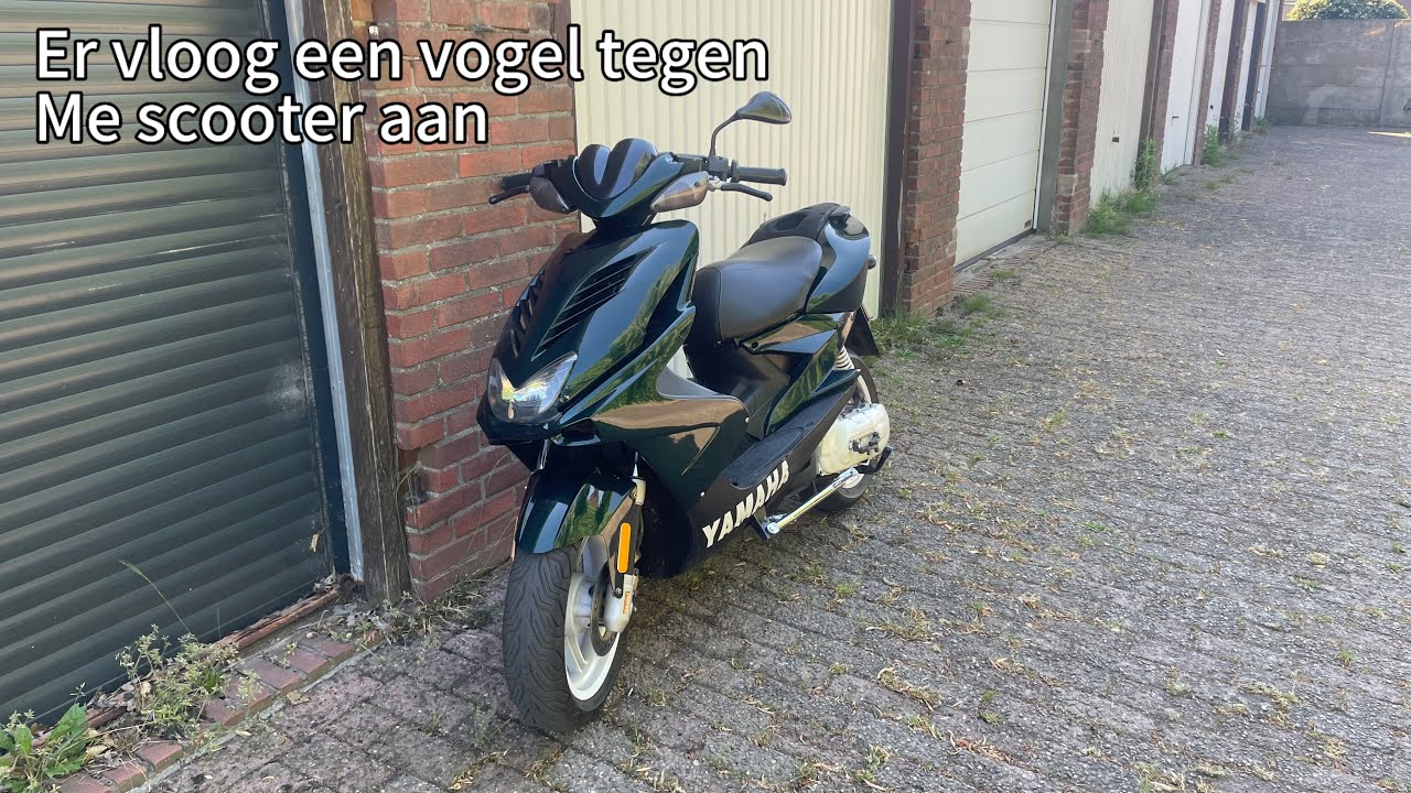 Er vloog een vogel tegen me scooter aan