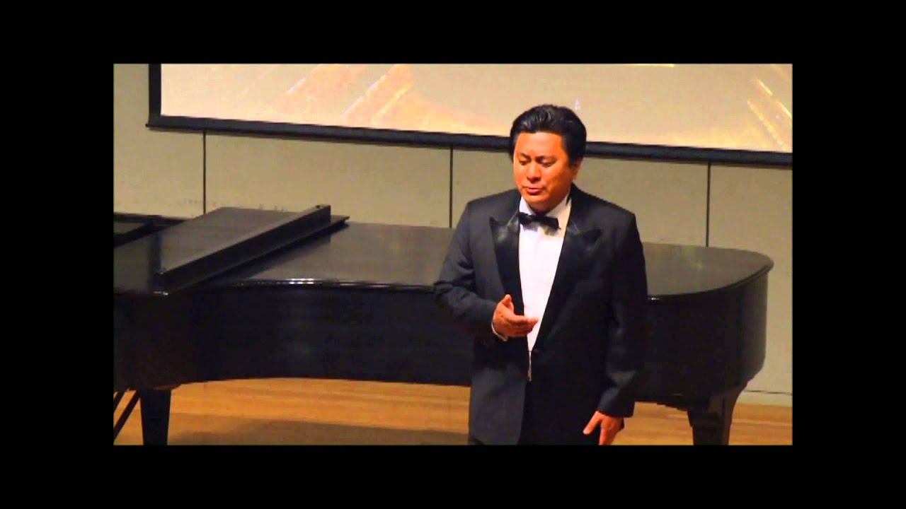 Hansu Kim, Tenor & 2011 Finalist