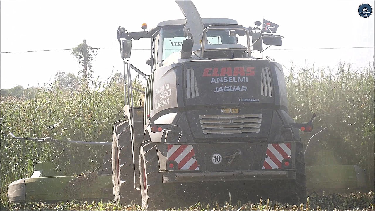 Claas Jaguar 980 (494) Black + Orbis 10 file - Team Anselmi - Trinciato mais 2023