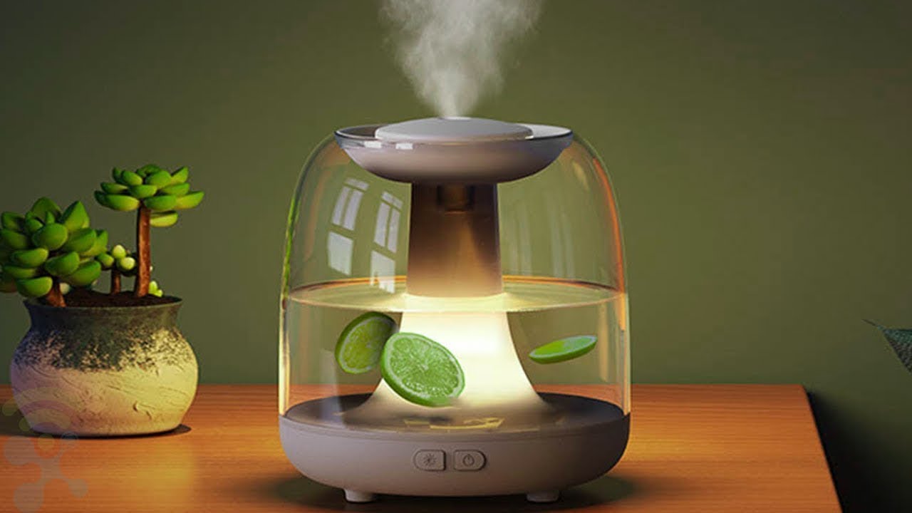 5 Best Humidifier and Air Purifier 2024