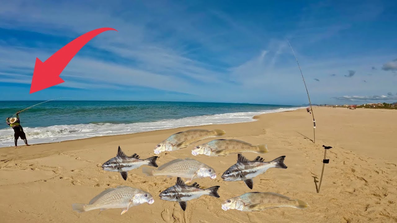 USE ESSA TÉCNICA NA PESCA DE  PRAIA QUANDO A ÁGUA ESTIVER GELADA E VOCÊ VAI PEGAR MUITOS PEIXES