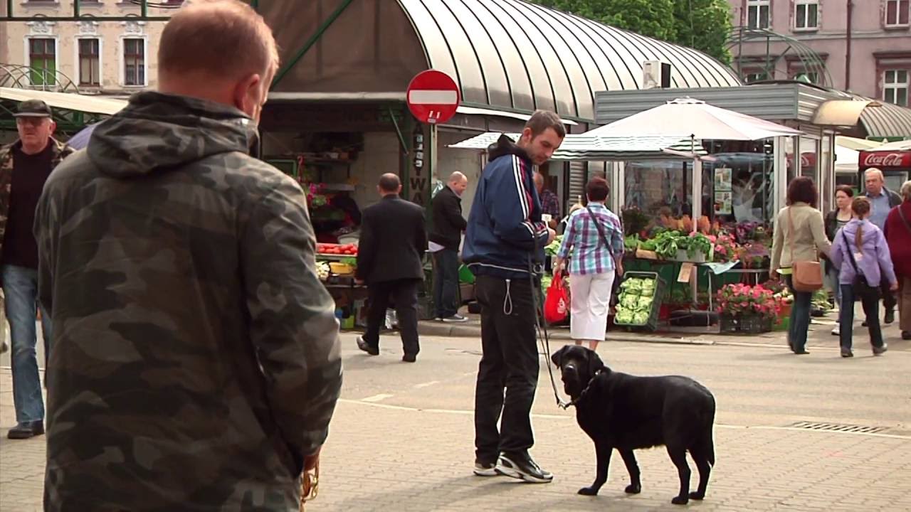 Plac Piastowski film dokumentalny (Bydgoszcz)