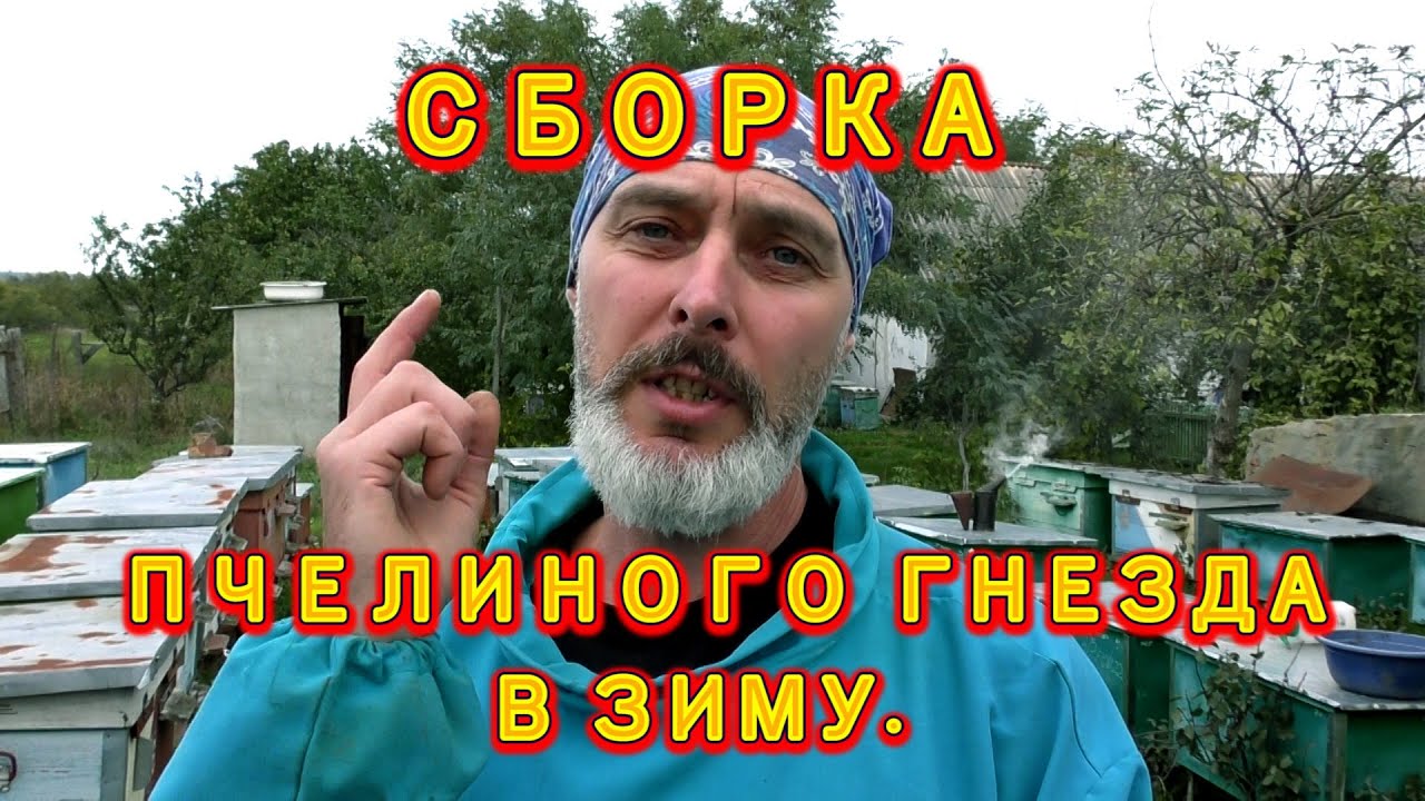 СБОРКА ПЧЕЛИНОГО ГНЕЗДА В ЗИМУ.